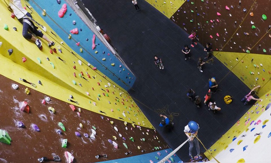 Image 2: Children's Taster Climbing Session