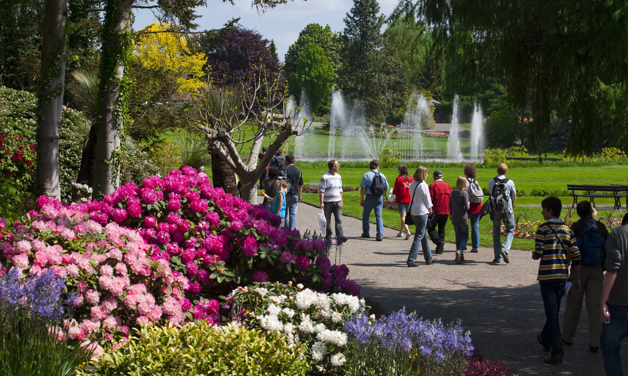 Tageskarte Weltvogelpark Walsrode