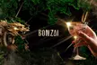 Exclusive Cocktails with Avocado Tartare For Two, Three or Four People at Bonzai (Up to 47% Off) - Second Medium