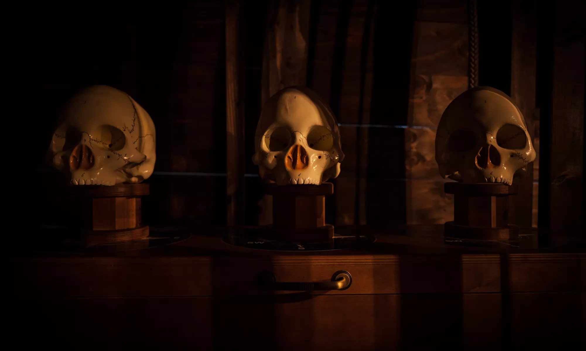 "Pirate's Den" Escape Room Challenge for Four or Six People at PanIQ Room Escape – Miami (Up to 48% Off)  - Primary Image