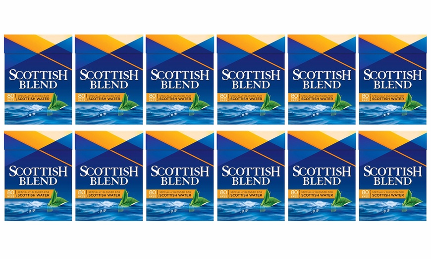 Image 2: Scottish Blend Tea Multipack