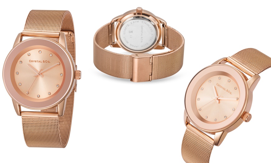 Image 12: Women's Swarovski® Watches