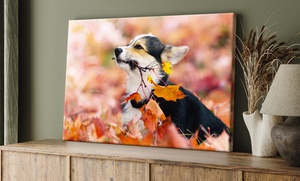 Up to 85% Off a Custom Canvas Print from CanvasOnSale