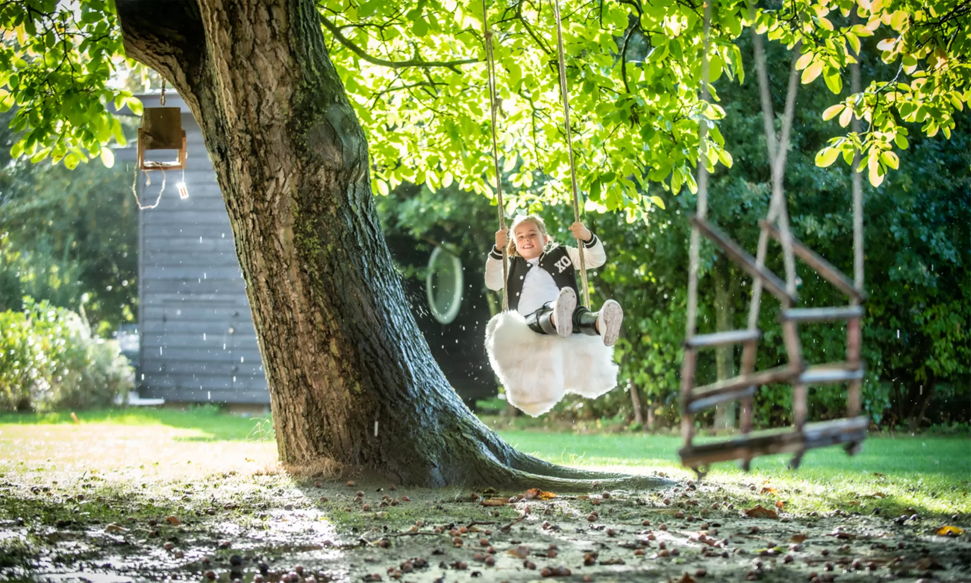 Twente: Safari Lodge-tent XL of Sterrenkubus met ontbijt