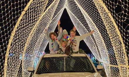 One Car (up to 6 people), Red Priced nights - Santa’s Rock n’ Lights