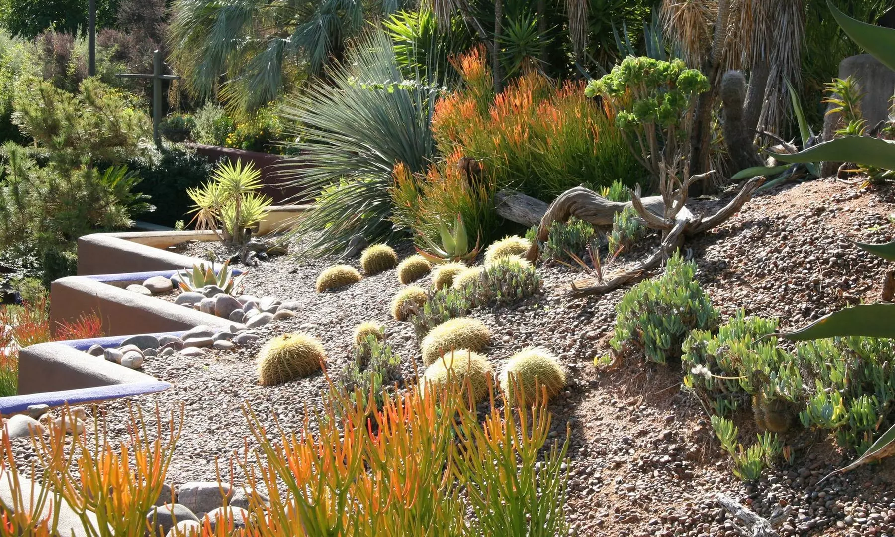 Discover The Water Conservation Garden: Choice of Admission or Membership to The Water Conservation Garden - Primary Image