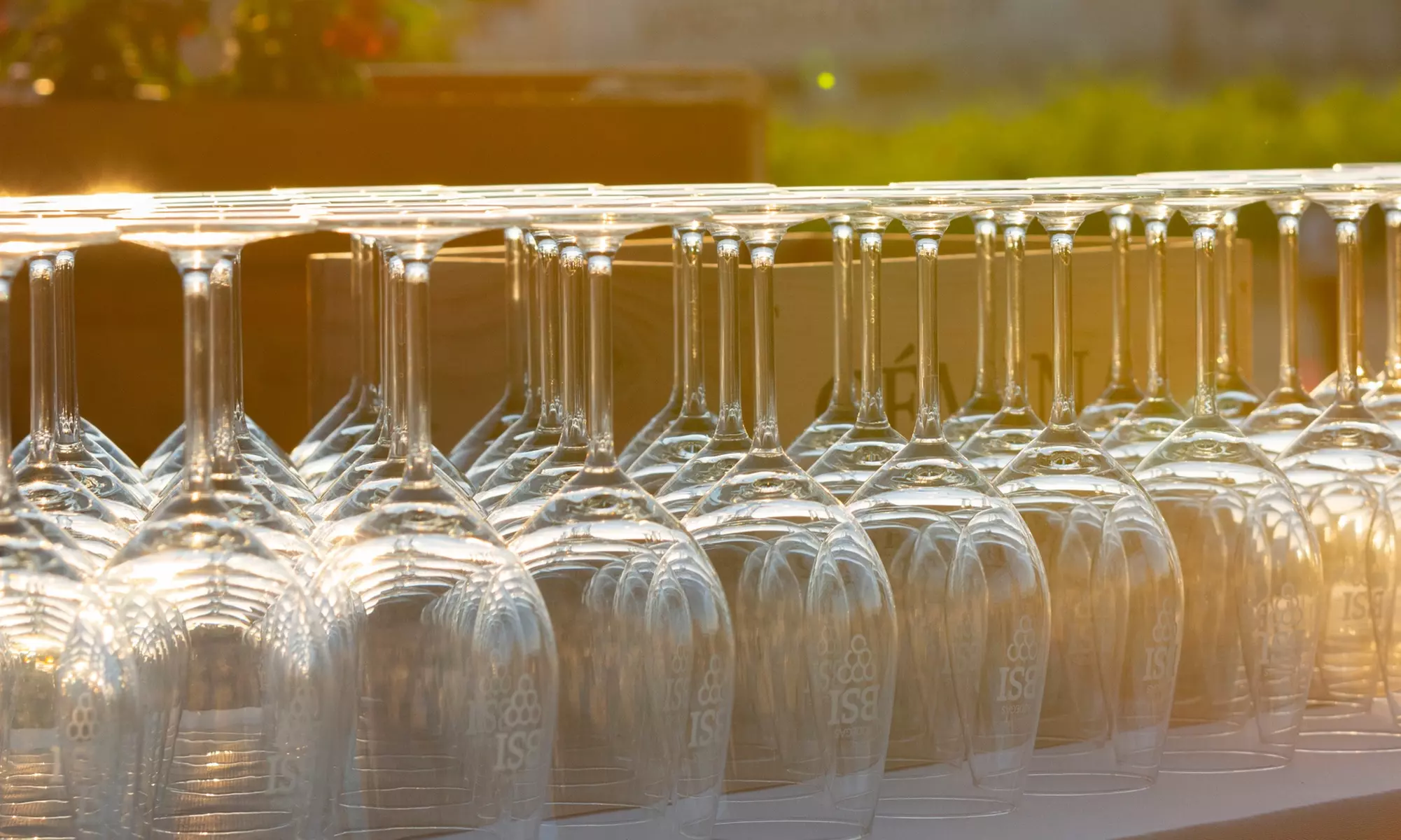 Hasta 59% de dto. en Especialidades de restaurantes - Degustación de vino en Bodegas Almazara BSI