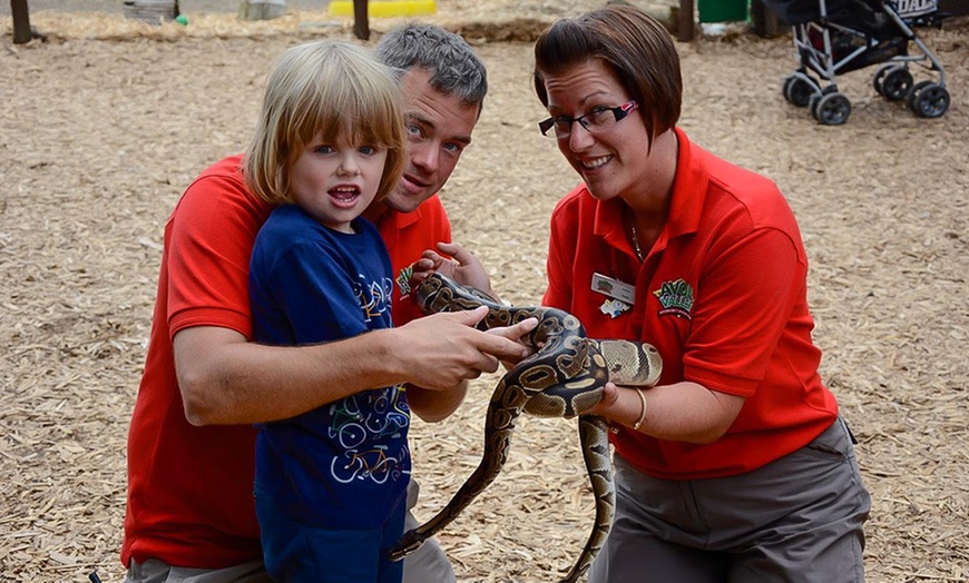 Image 4: Avon Valley Park Experience
