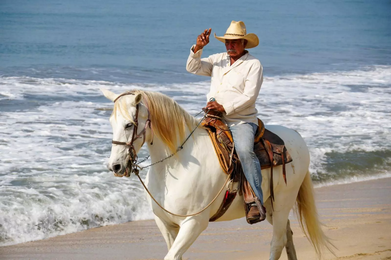 Photoshoots: 30-Min, 90-Min, or 4-Hr with Photos & Prints