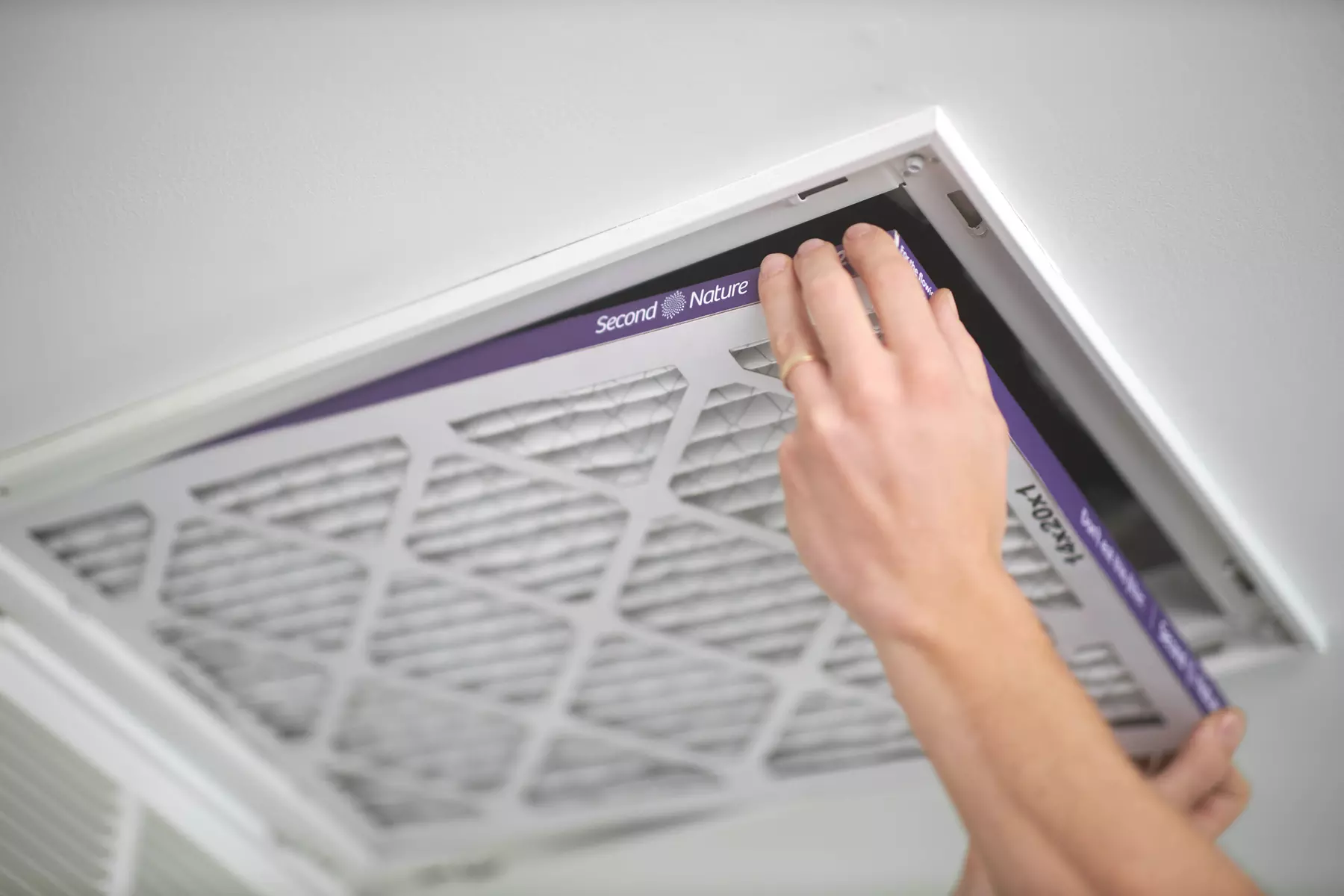 $0 for Air-Filter-Delivery Subscription from Second Nature; First month free - Primary Image