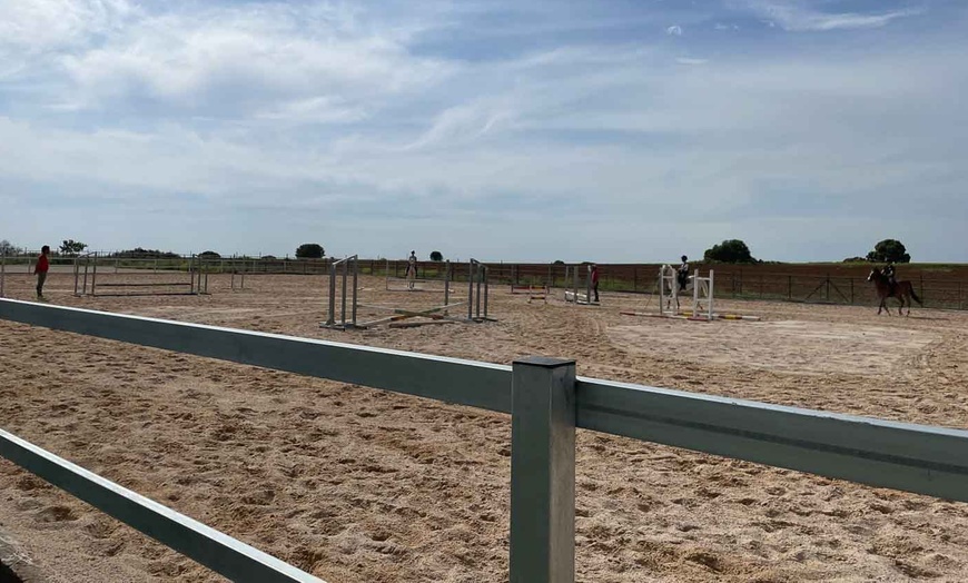 Image 16: Ruta de 1 hora a caballo para hasta 4 personas con opción a iniciación