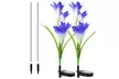 2 Pack Solar Garden Lights with Bigger Lily Flowers Color-Changing Outdoor Decor - Second Medium