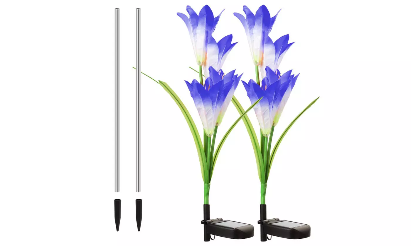 2 Pack Solar Garden Lights with Bigger Lily Flowers Color-Changing Outdoor Decor