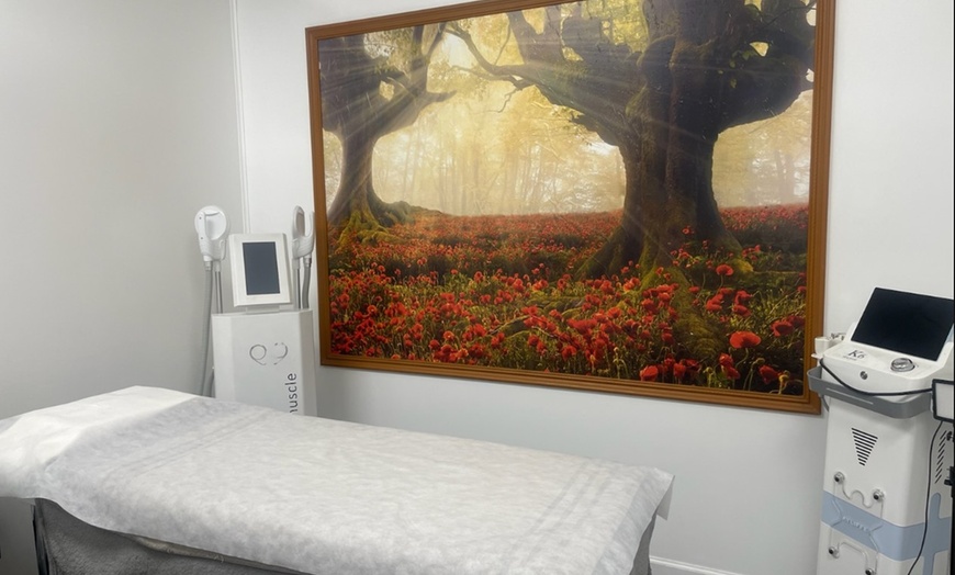Image 4: Laser Hair Removal Packages for Smooth, Silky Skin at Beauty Doll Spa
