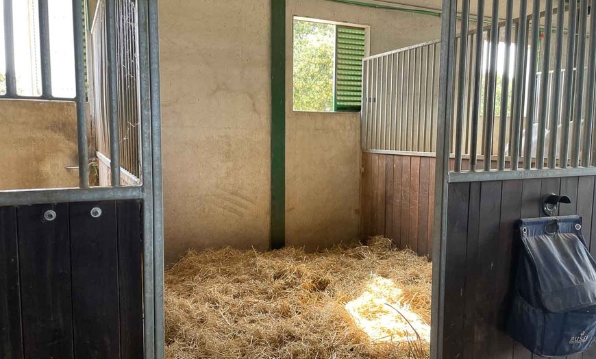 Image 13: Ruta de 1 hora a caballo para hasta 4 personas con opción a iniciación