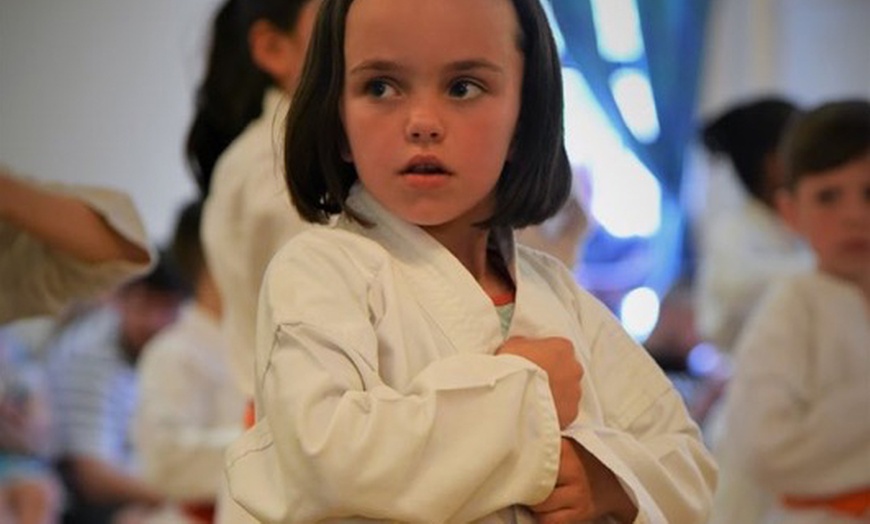 Image 4: Three-Month Karate Trainings