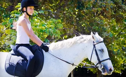 Weekday or Weekend Express Lessons, or Two Private Lessons at Traditional Equitation School in Burbank (Up to 55% Off) - Primary Image