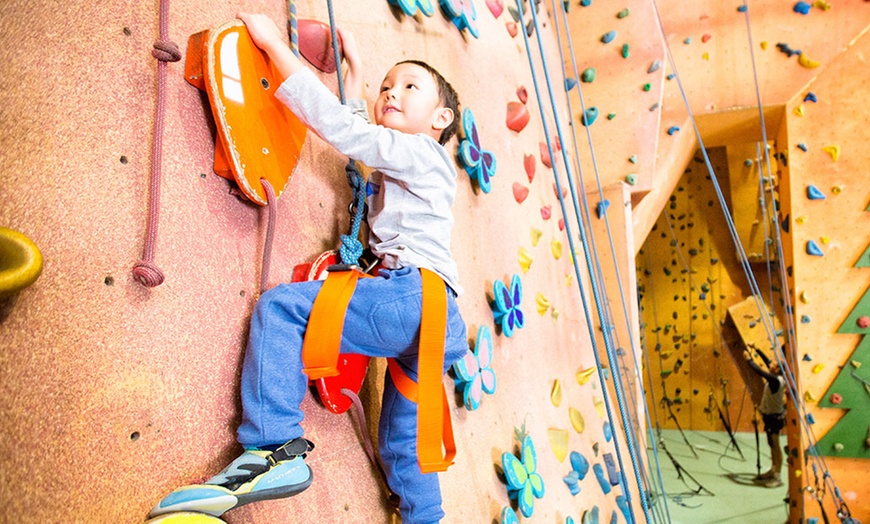 Image 9: Rock Climbing Package at Sydney Indoor Climbing Gym St Peters