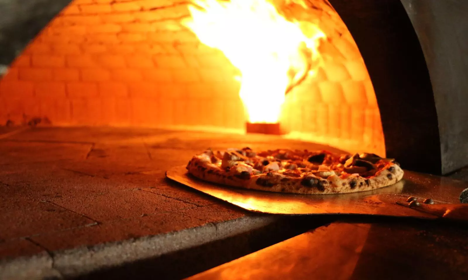 25% Cash Back at 1000 Degrees Neapolitan Pizza - Primary Image