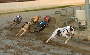 Entry, Hot Dog, Drink & Betting Guide at Yarmouth Stadium