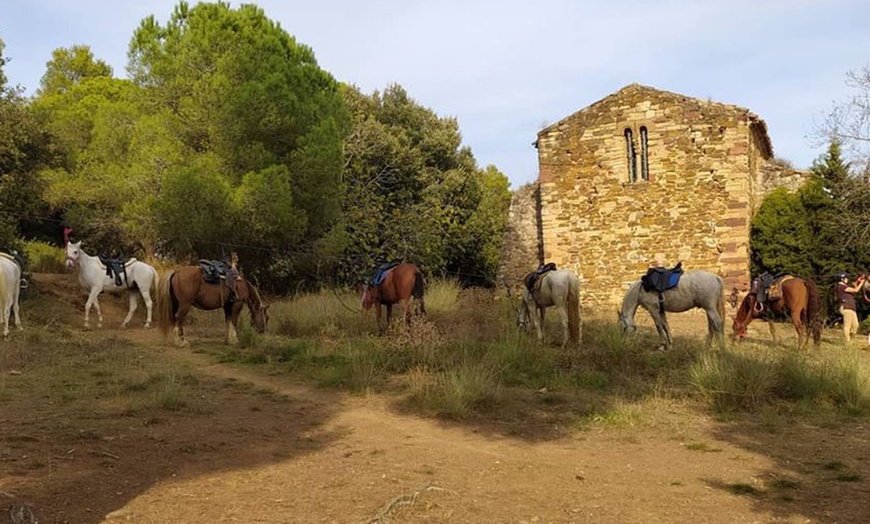 Image 5: Día de aventuras: ruta a caballo para hasta 4 personas de 60 minutos