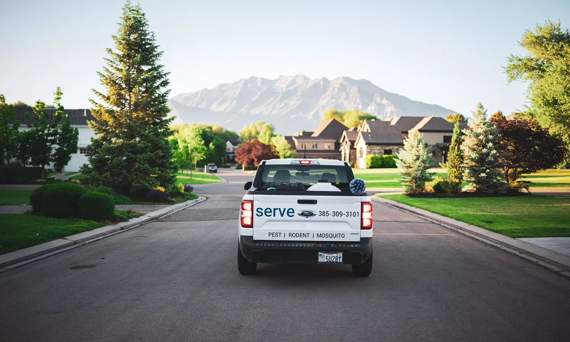 Pests Prevention or Elimination Treatment from Serve Pest Control (Up to 75% Off) - Second Medium