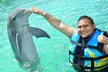 Up to 33% Off on Royal Garrafon Park + Dolphin Encounter & Swim Adventure at Isla Mujeres with The Dolphin Company - Second Medium