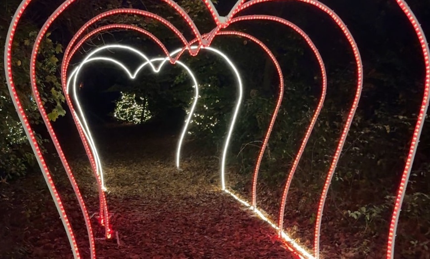 Image 3: 1 Ticket für Forellenhof im Lichterglanz, vom 28.11.-21.12.