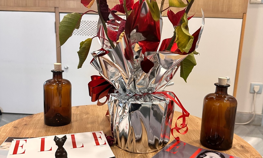 Image 4: Masajes personalizados de 1h o con aceites esenciales DOTerra