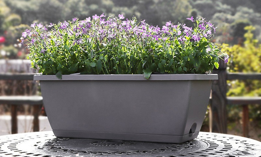 Image 5: Pack of Five Plastic Deep Garden Planters with Drainage Trays 