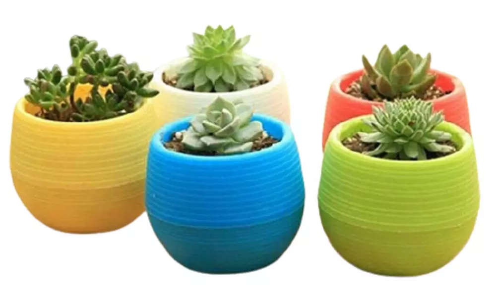 Lot de 7 mini pots à plantes - Primary Image