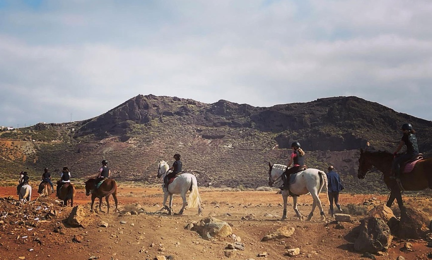 Image 4: ♞ Paseo a caballo para 2 personas con Horse Riding Canaria