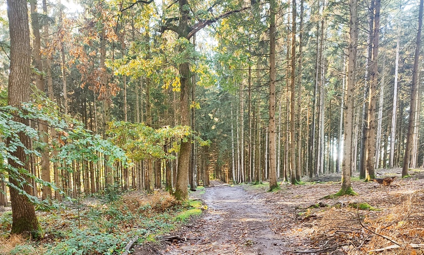 Image 24: Belgische Ardennen: 1 Nacht inkl. Frühstück und Begrüßungsgetränk