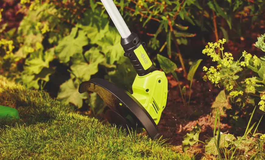 Image 12: Lawn Mower and Grass Trimmer Collection