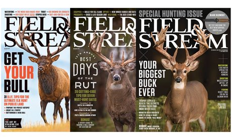 1-Year, 12-Issue Subscription to Field & Stream Magazine