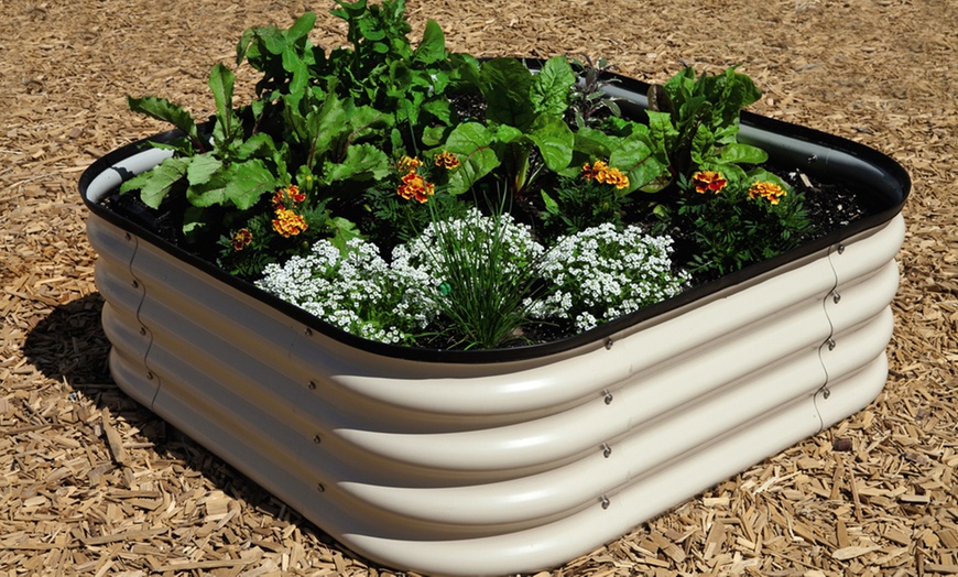 Image 5: One or Two Original Veggie Beds