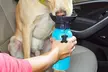 Two-in-One Pet Water Bottle and Bowl - Second Medium