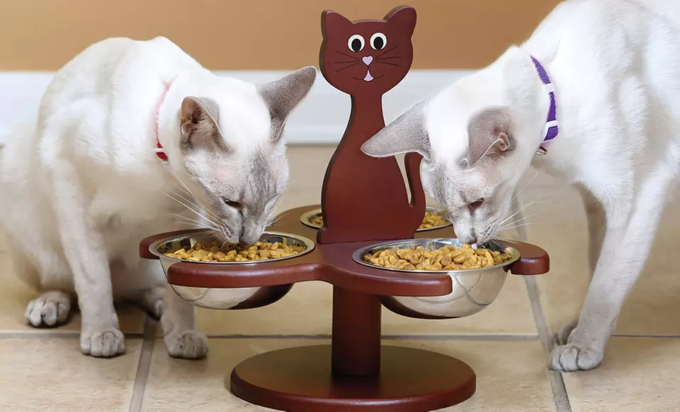 Pet Store Wooden MultiCat Feeder - Primary Image