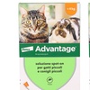 Image 4: Antiparassitario Spot-on per gatti e conigli Advantage