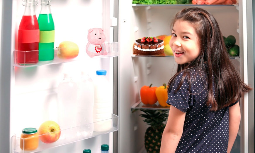 Image 3: Diet Piggy Fridge Guardian