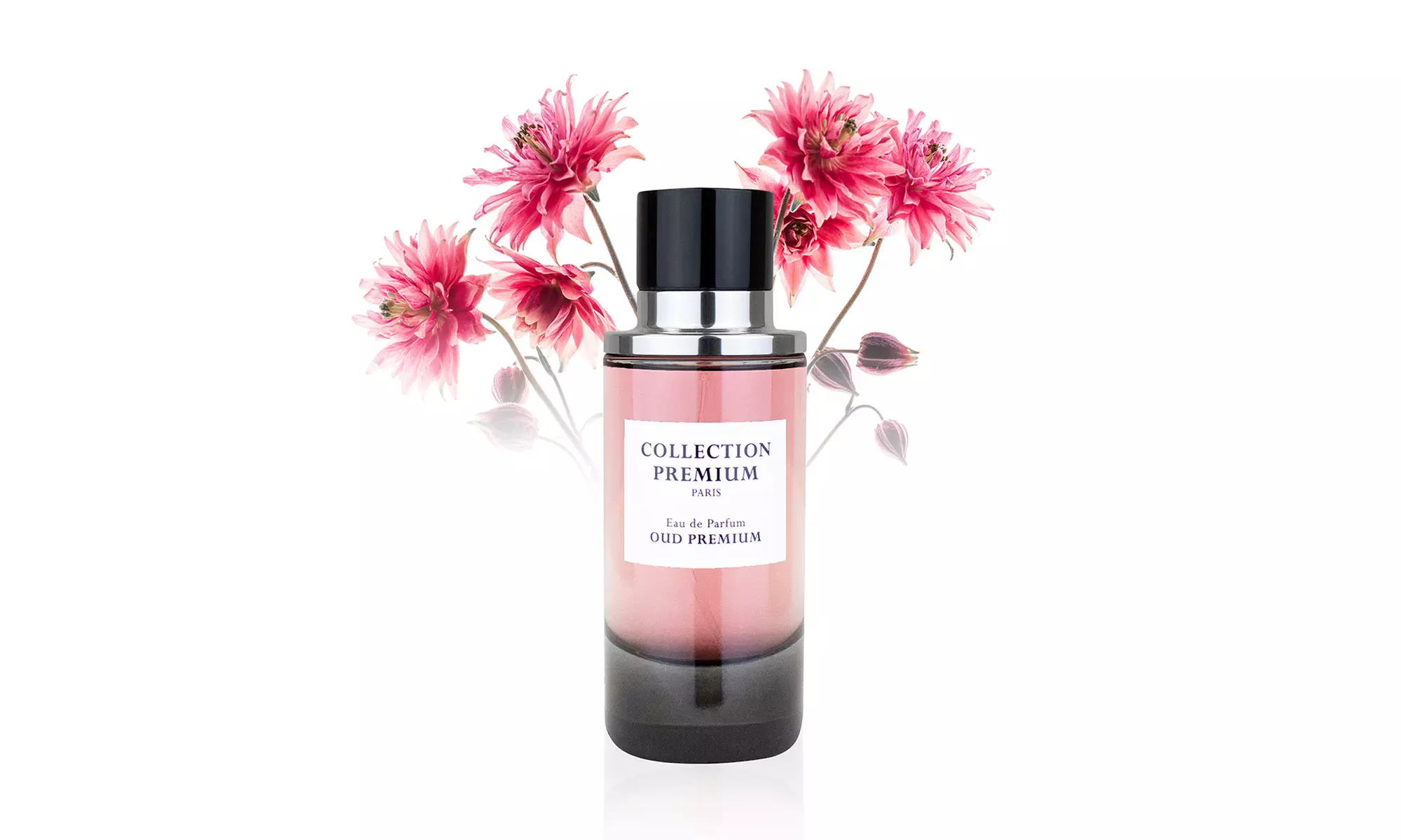 Eau de parfum Oud Premium de Collection Premium de 100 ml - Primary Image