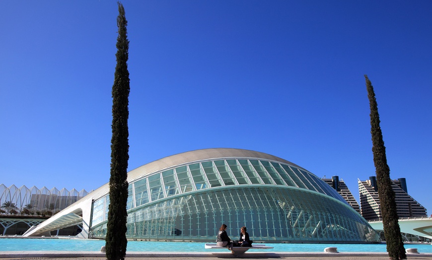 Image 2: Entrada de 1 día al Oceanogràfic, Museo Príncipe Felipe y/o Hemisfèric