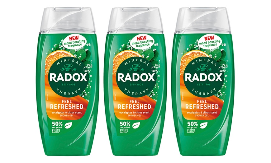 Image 16: Radox Mineral Therapy Shower Gel with Mood-Boosting Fragrance