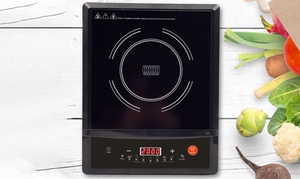 Induction Cooker with Pot