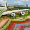 Image 11: Dubai Miracle Garden + Butterfly Garden Combo Tickets (For 1, 2, or 4)