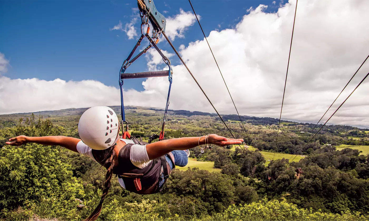 3-Hour Zipline Tour or 2.5 Hour Treetop Zipline Tour with Pi'iholo Ranch Adventures - Primary Image