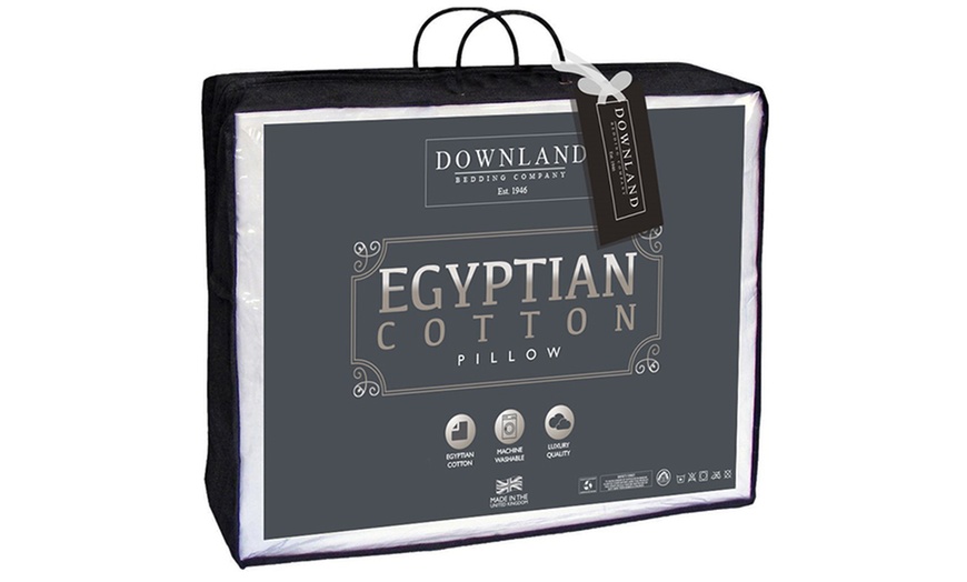 Image 1: Egyptian Cotton Pillows