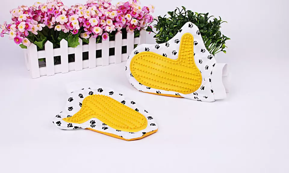 1 ou 2 gants de toilettage pour animaux avec bracelet élastique réglable - Primary Image