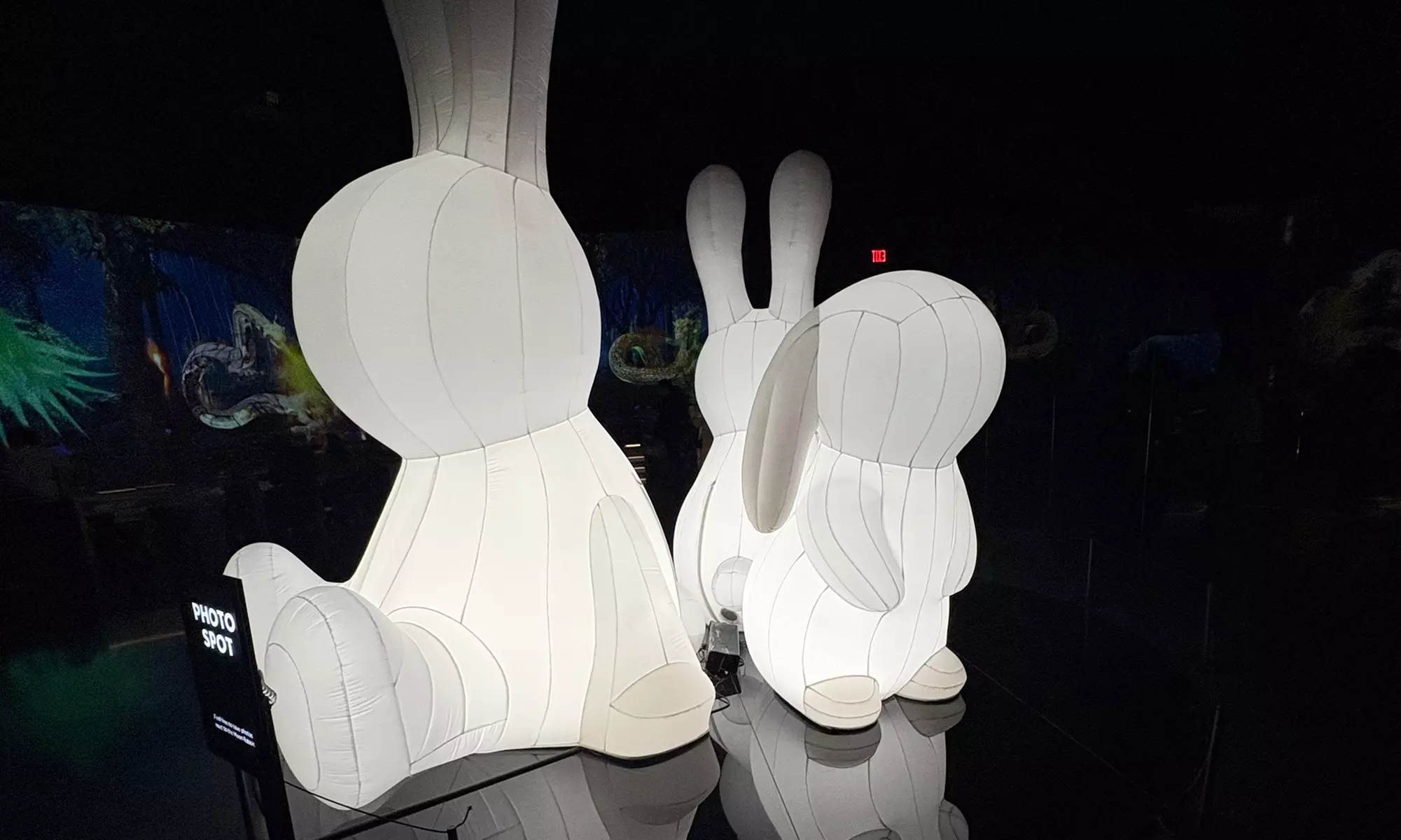 ARTE MUSEUM New York: Your All-Sensory Journey Begins