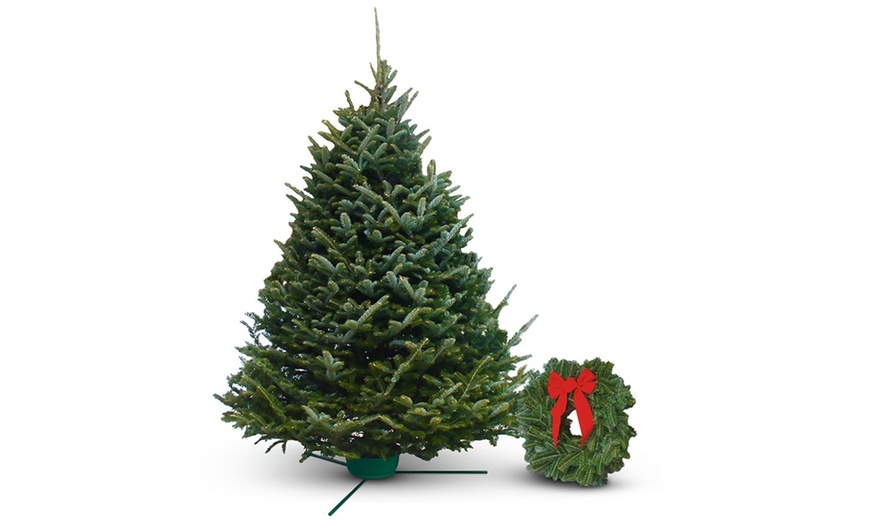 Fresh Cut Christmas Trees or Wreaths with Free Home Delivery Groupon